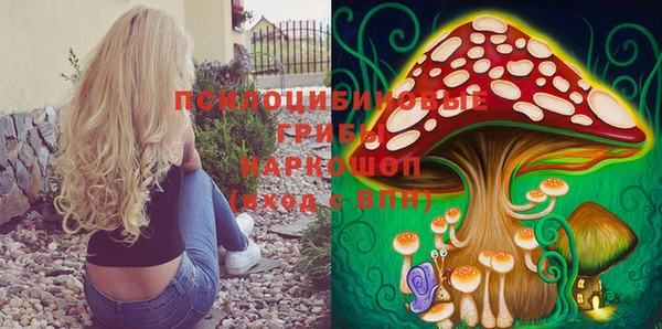 таблы Богородицк